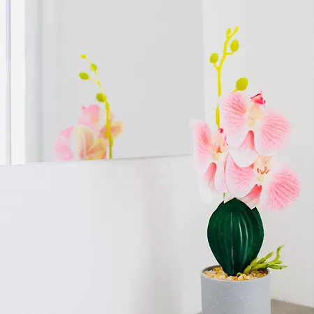 Apartamento Aurora